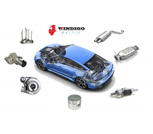 Double cleaning of engine parts and exhaust system elements from carbon deposits (light vehicles)